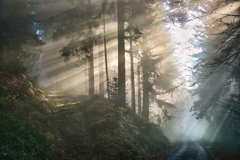 Mystical horizons