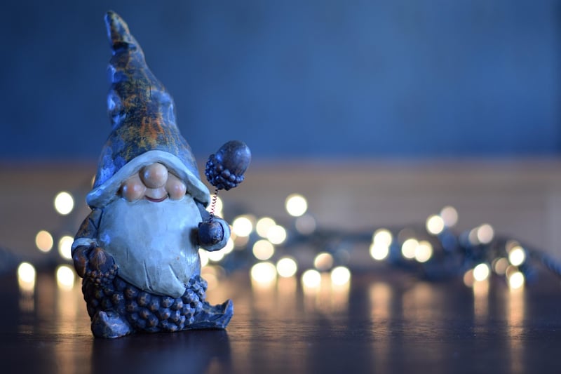 Gnome in a garden
