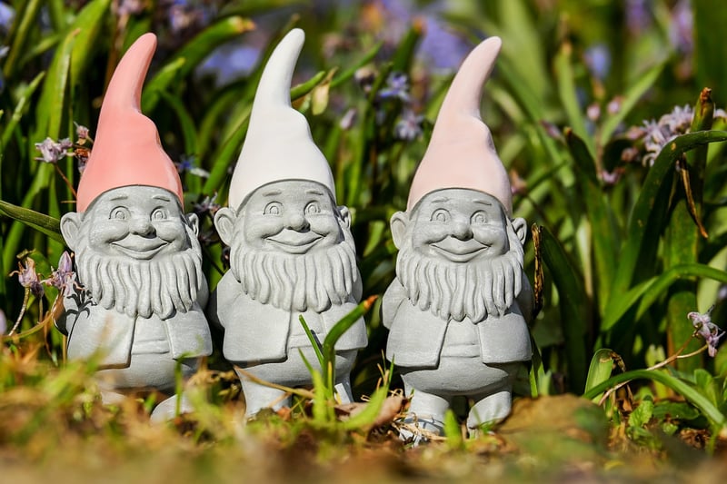 Gnome in a garden